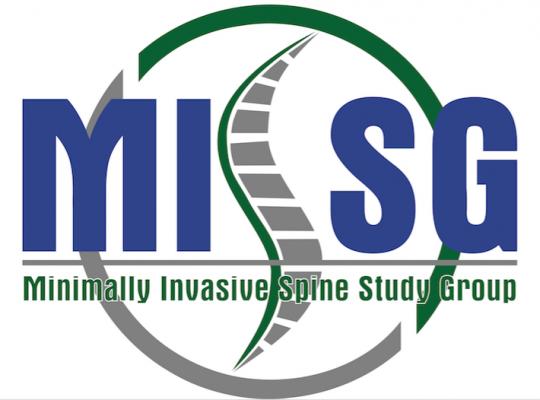 MISSG logo